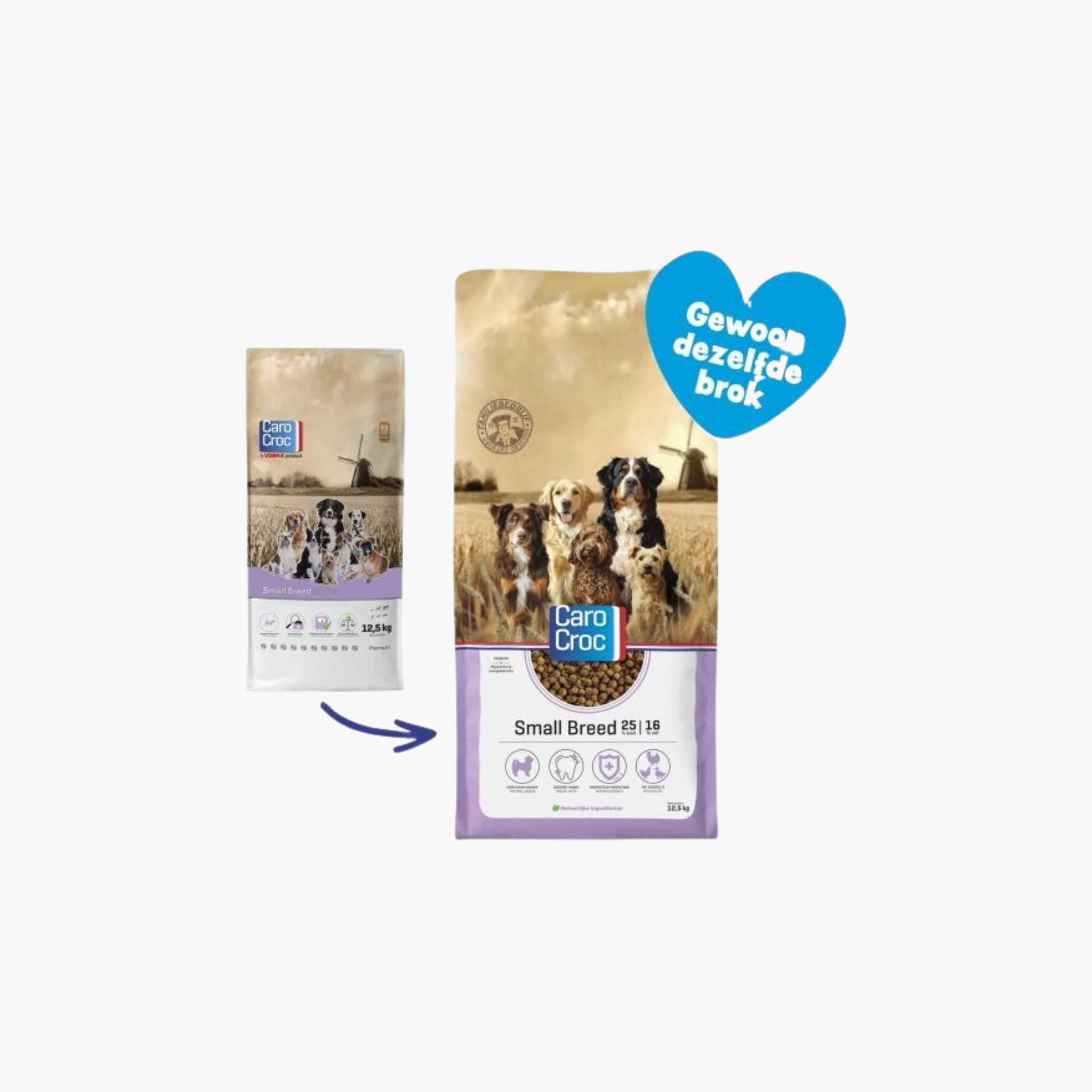 Carocroc Small Breed 25/16 - Pet Global Shop